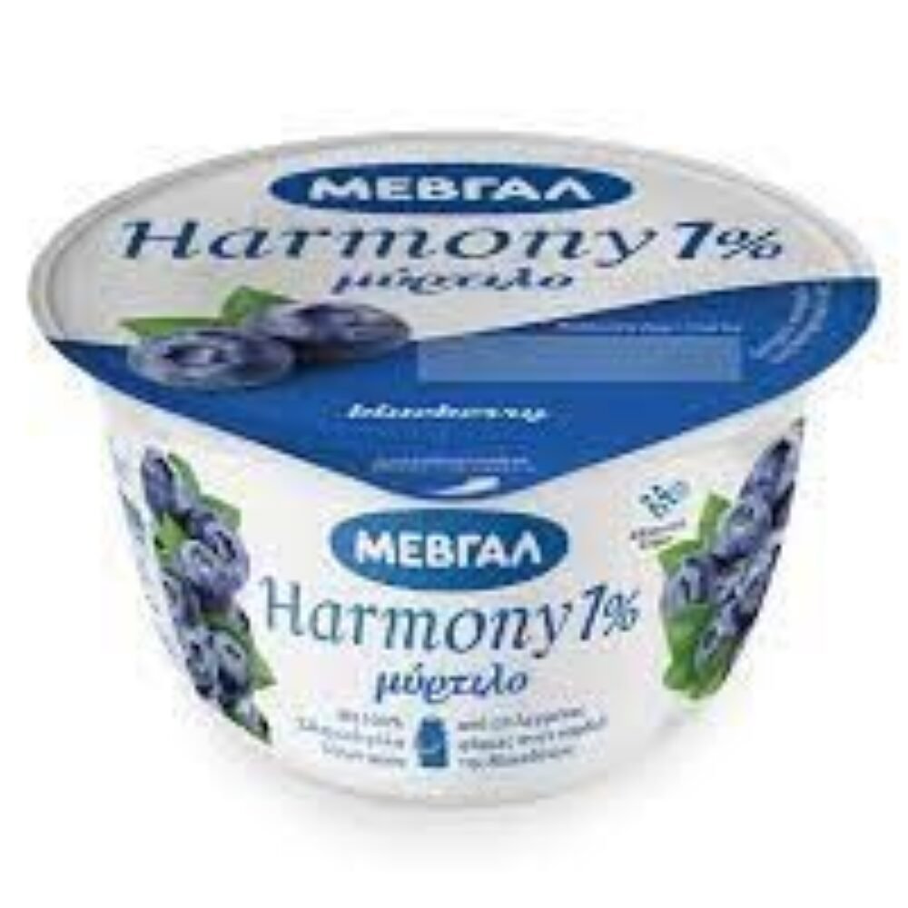 Mevgal Yogurt with fruit Blueberry 1% fat 170gr