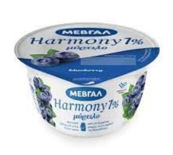 Mevgal Yogurt with fruits blueberry 1% fat 170gr