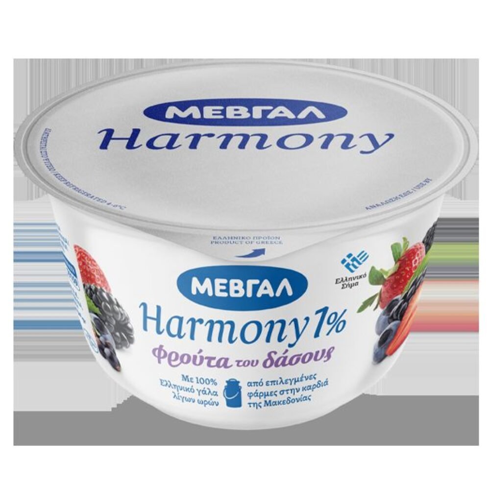 Mevgal Yogurt with Forest Fruit 1% fat 170gr
