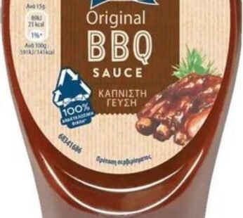 Hellmanns BBQ Sauce 250ml