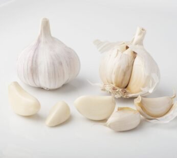 Garlic