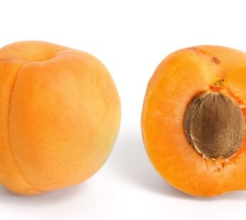 Apricots