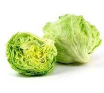 Iceberg Lettuce