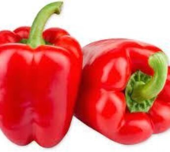 Red Bell Peppers