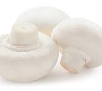 Mushrooms